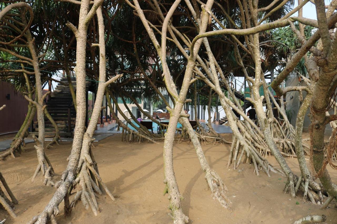 Saprin Beach Resort Uswetakeiyawa Bagian luar foto